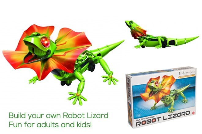 Build Your Own Robot Lizard- Fun to build and play with ! > JT Rewards