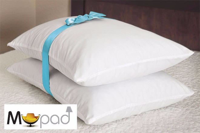 Memory Foam Cluster Pillows Twin Pack Jt Rewards
